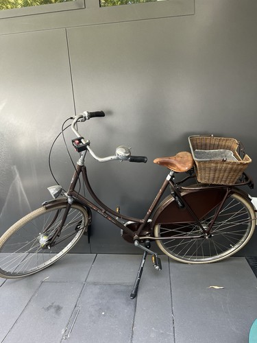 Gazelle hollandrad braun - gazelle,