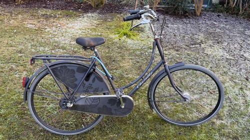 Gazelle classic - classic, |