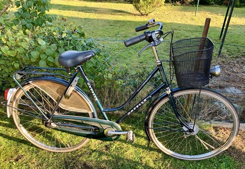 Gazelle tournee ambiance - gazelle,