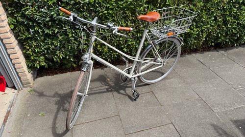Gazelle van stael damen - van,