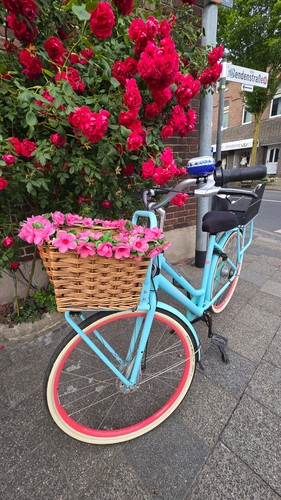 Gazelle fahrrad blau damen - blau,