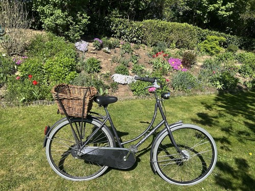 Hollandrad gazelle classic - gazelle,