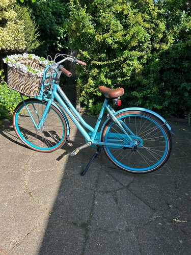 Damenfahrrad zoll gebraucht - damenfahrrad, 28