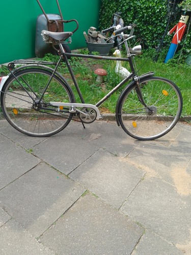 Gazelle populair - gazelle,