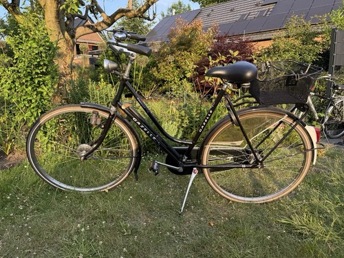 Gazelle tour populair - gazelle,